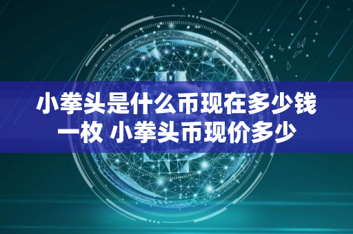 小拳头是什么币现在多少钱一枚 小拳头币现价多少