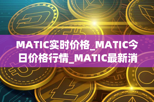 MATIC实时价格_MATIC今日价格行情_MATIC最新消息