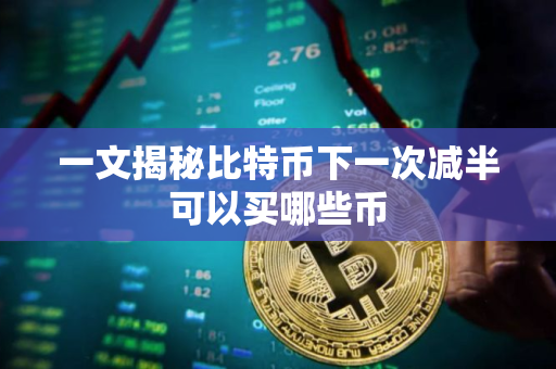 一文揭秘比特币下一次减半可以买哪些币