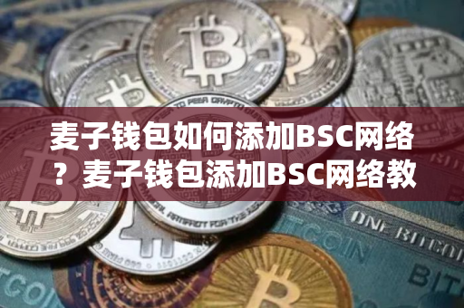 麦子钱包如何添加BSC网络？麦子钱包添加BSC网络教程
