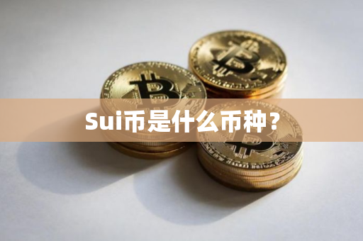 Sui币是什么币种？