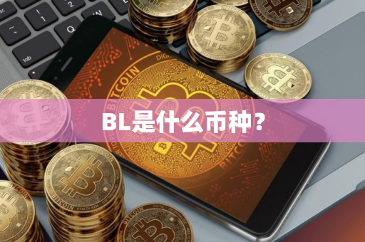 BL是什么币种？