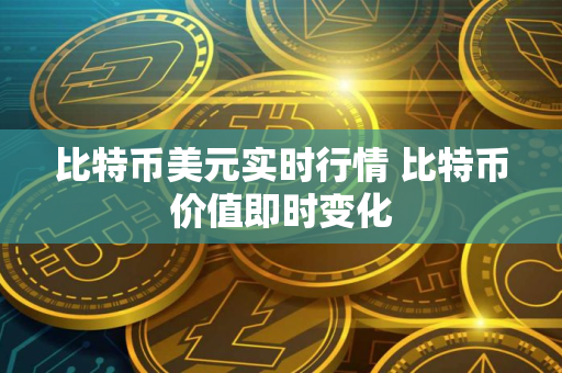 比特币美元实时行情 比特币价值即时变化