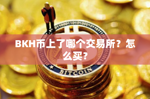 BKH币上了哪个交易所？怎么买？