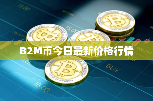 B2M币今日最新价格行情