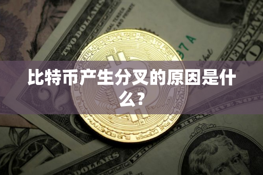 比特币产生分叉的原因是什么？