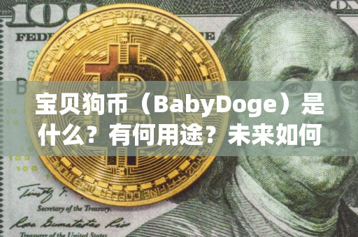 宝贝狗币（BabyDoge）是什么？有何用途？未来如何？