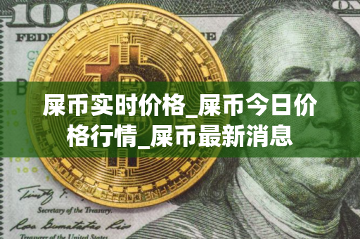 屎币实时价格_屎币今日价格行情_屎币最新消息