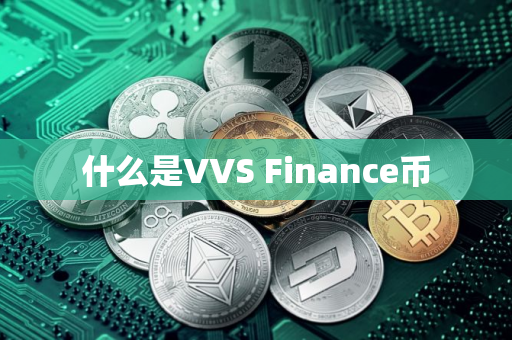 什么是VVS Finance币