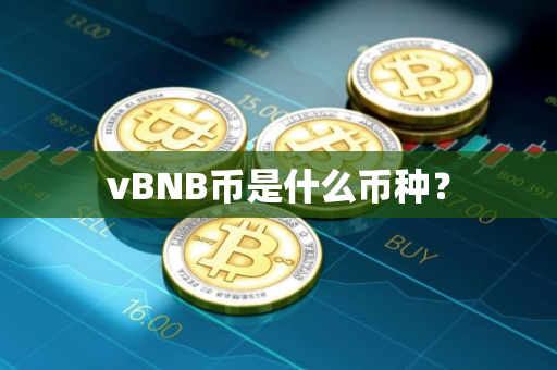 vBNB币是什么币种？