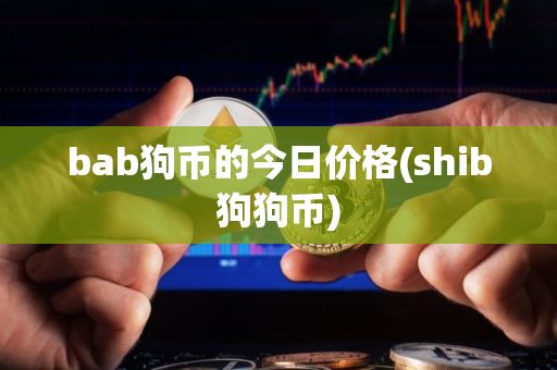 bab狗币的今日价格(shib狗狗币)