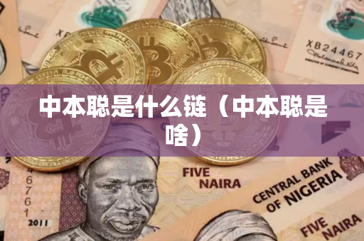 中本聪是什么链（中本聪是啥）