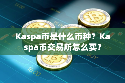 Kaspa币是什么币种？Kaspa币交易所怎么买？