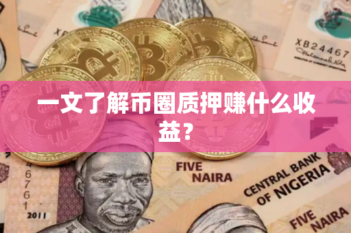 一文了解币圈质押赚什么收益？