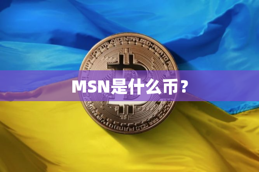 MSN是什么币？