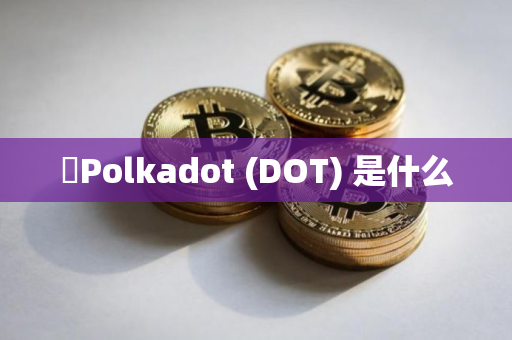 ​Polkadot (DOT) 是什么