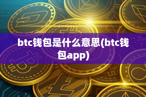 btc钱包是什么意思(btc钱包app)