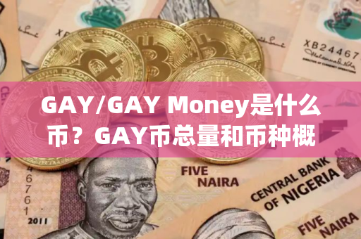GAY/GAY Money是什么币？GAY币总量和币种概念介绍
