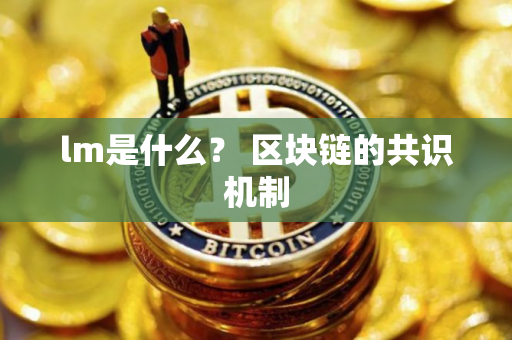 lm是什么？ 区块链的共识机制