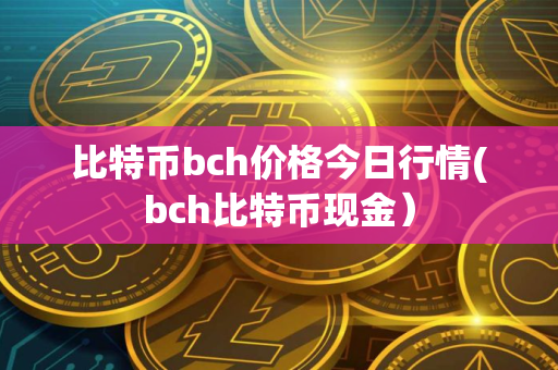 比特币bch价格今日行情(bch比特币现金）