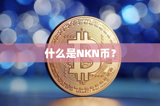 什么是NKN币？
