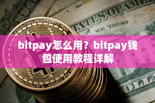 bitpay怎么用？bitpay钱包使用教程详解