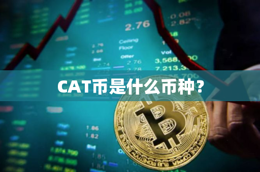 CAT币是什么币种？
