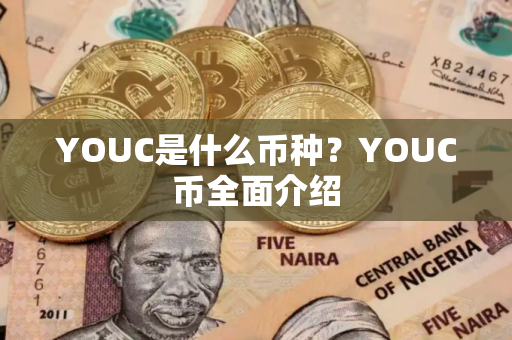 YOUC是什么币种？YOUC币全面介绍