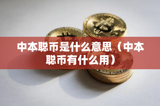 中本聪币是什么意思（中本聪币有什么用）