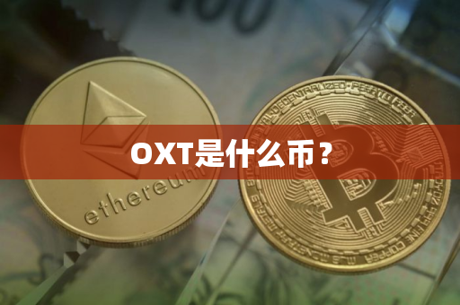 OXT是什么币？