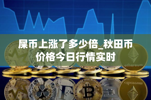 屎币上涨了多少倍_秋田币价格今日行情实时