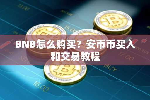 BNB怎么购买？安币币买入和交易教程