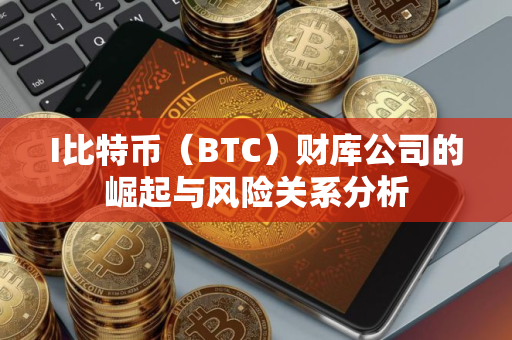 I比特币（BTC）财库公司的崛起与风险关系分析