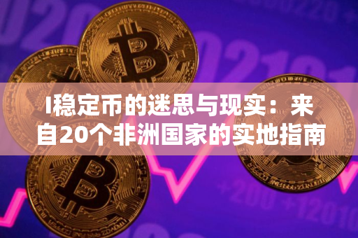 I稳定币的迷思与现实：来自20个非洲国家的实地指南