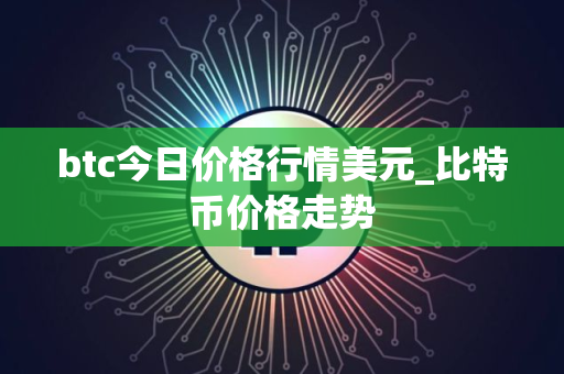 btc今日价格行情美元_比特币价格走势