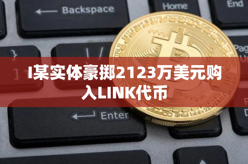 I某实体豪掷2123万美元购入LINK代币