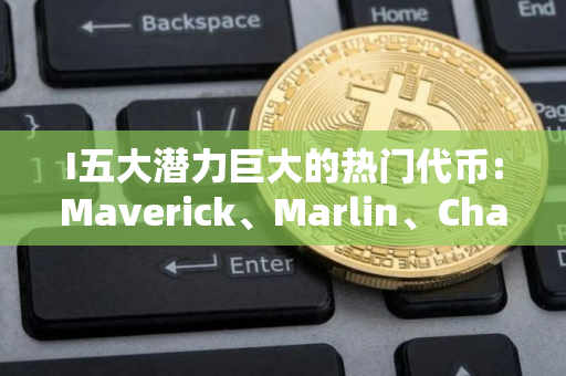 I五大潜力巨大的热门代币:Maverick、Marlin、Chainlink、OKB 和 TEST