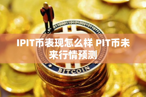 IPIT币表现怎么样 PIT币未来行情预测