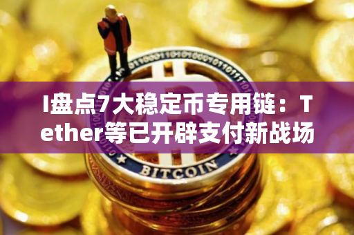 I盘点7大稳定币专用链：Tether等已开辟支付新战场