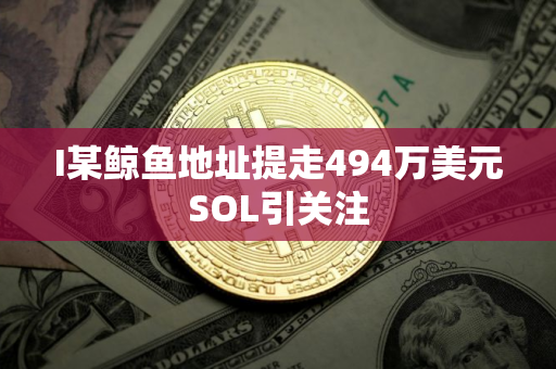 I某鲸鱼地址提走494万美元SOL引关注