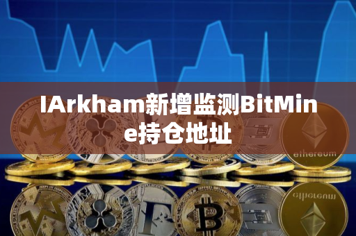 IArkham新增监测BitMine持仓地址
