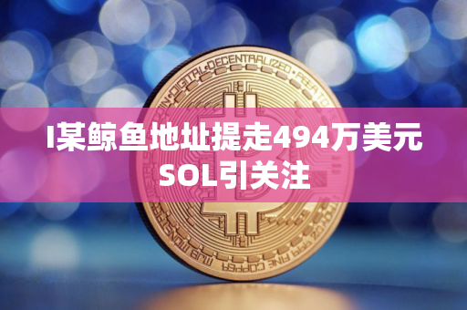 I某鲸鱼地址提走494万美元SOL引关注