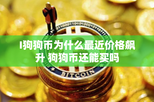 I狗狗币为什么最近价格飙升 狗狗币还能买吗