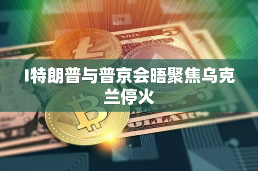 I特朗普与普京会晤聚焦乌克兰停火