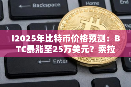 I2025年比特币价格预测：BTC暴涨至25万美元？索拉纳到800美元？