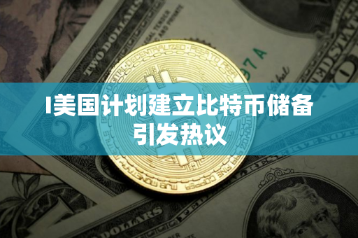 I美国计划建立比特币储备引发热议