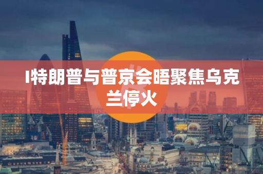 I特朗普与普京会晤聚焦乌克兰停火