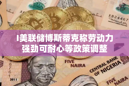 I美联储博斯蒂克称劳动力强劲可耐心等政策调整