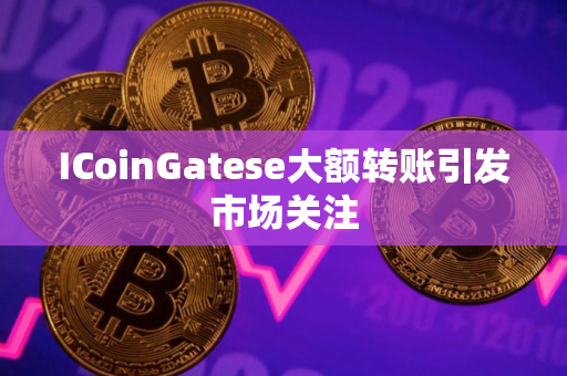 ICoinGatese大额转账引发市场关注