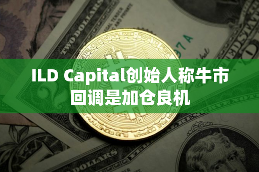 ILD Capital创始人称牛市回调是加仓良机